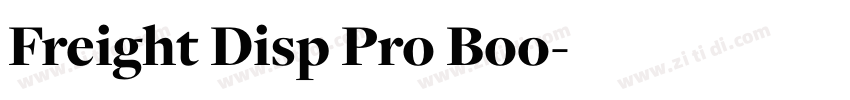 Freight Disp Pro Boo字体转换